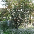 3a04dvor.4hu.jpg