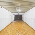 aginopid.ysj.jpg