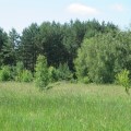 ifk1lyje.c0w.jpg