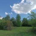 lbmd3ua3.itl.jpg