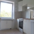 nfjelm3l.a11.jpg