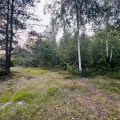 nnja2114.qkx.jpg