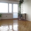 ql5tibsz.331.jpg