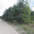 uk3odc5l.uqb.jpg
