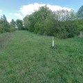 wrq4kss0.qh0.jpg