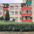 z2oomree.t44.jpg